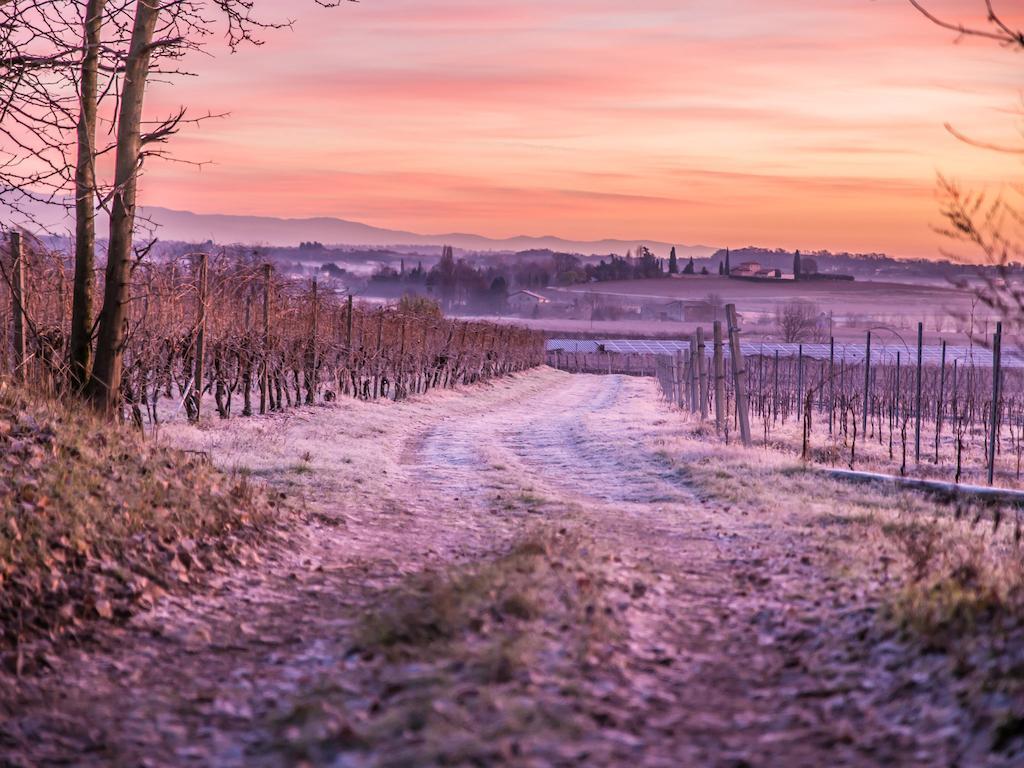 Alloggio per agriturismo E Agricamping Le Nosare